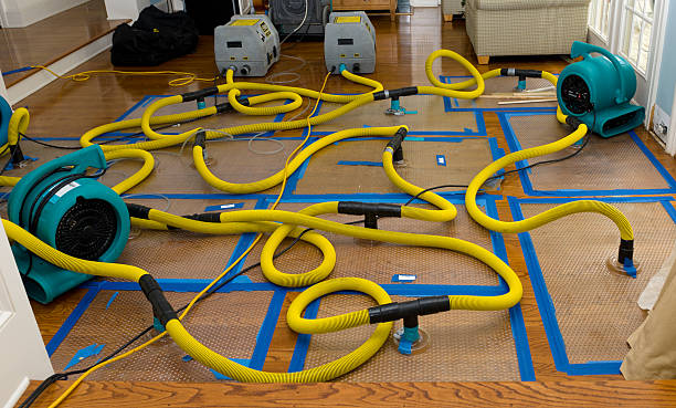 Professional Crawl Space Water Removal technician working in Kingsley, MI